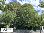 Baugelände Wien, Österreich