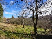 Baugelände zu verkaufen Mauerbach, Österreich