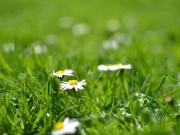 Baugelände zu verkaufen Vöcklabruck, Österreich