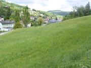 Baugelände zu verkaufen Waidhofen an der Ybbs, Österreich