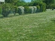 BAUGENEHMIGTES PROJEKT IN BESTLAGE DES 13. WIENER...