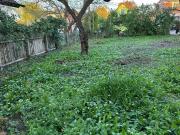 Privatverkauf: Baugrund 1220 Essling ohne Altbestand