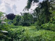 Baugrund 1.477 m², Nähe Baden, Schwechat, Ebreichsdorf