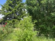 Baugrund für bis zu 3 Reihenhäuser