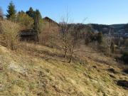 Baugrund mit 1094m²