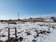 Baugrund mit 926 m² in bester Lage von Wieselburg Stadt