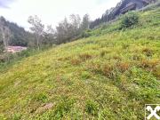 Baugrund mitten in Wernstein