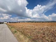 Baugrund sonnige und ebene Lage in Haid