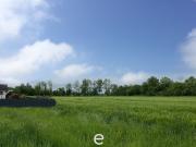 Baugrundstück 370/19 mit 924m² in Taufkirchen an der Pram