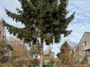 Baugrundstück für freistehendes Wohnhaus in Eschweiler Röhe!