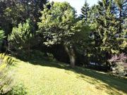 Baugrundstück im Augustinerwald Naturidylle mit Hanglage