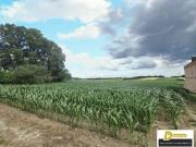 Baugrundstück in 2111 Tresdorf 1.001 m² in toller Ruhelage
