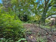 Baugrundstück in Bisamberg Bauland Wohngebiet Widmung!