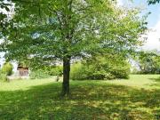 Baugrundstück in idyllischer Lage auf leichtem Südhang...