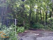 BAUGRUNDSTÜCK mit eigenem WALD in KALKSBURG BAUGRUNDSTÜCK mit eigenem WALD in KALKSBURG