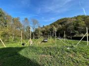 Baugrundstück zum Verkauf in Arcegno