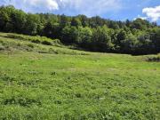 Bauland ca. 8.700 m² in herrlicher Panoramalage zu...