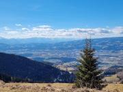Bauland Kurgebiet und Grünland auf der Koralm