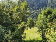 Baulandgrundstück mit Projekt /Building plot with...