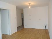 Baumer 21 Grünruhelage und Top Öffi Anbindung