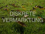 Bauplatz für Geschosswohnungsbau in Alt Glienicke, GRZ...