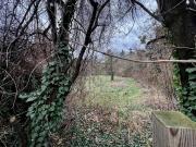 Bauprojekt Wien Oberlaa wunderbares, großzügiges...