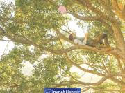 Baustart bereits erfolgt Wohnen am Uberlberg Hochwertige...