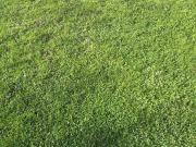 Bauträgergrundstück im Zentrum von Hollabrunn