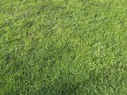 Bauträgergrundstück im Zentrum von Hollabrunn