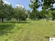 Bauträgergrundstück in Kittsee – Großflächige...