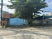Bayani Road, Taguig City For SALE