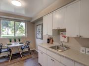 Baywood Park Studio Apartment for Rent at 11405 132 St...
