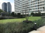 Be Grand Alto Polanco Preciosa vista