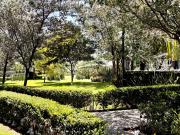 Be Grand Lomas Departamento en venta en Paseo de las Lomas