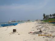 Beach Lot Property for Sale in Madridejos Cebu for Beach...