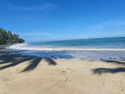 Beachfront Lot for Sale – Bubusawin, Aborlan, Palawan