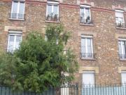 Beau studio meublé 25m²