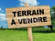 Beau terrain à la vente à boubana jbel kbir. Superficie...