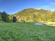 Beau terrain constructible 560m² Montriond