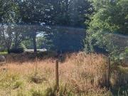 Beau terrain constructible dans la campagne de Ste Marie