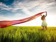 Beaufay 72110 Programme neuf terrain neuf à vendre