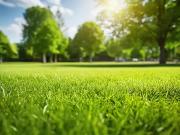 Beaumont du Gâtinais 77890 Programme neuf terrain neuf à...