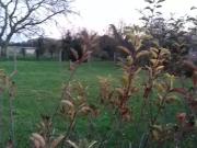 Beaumont du Gâtinais 77890 Programme neuf terrain neuf à...