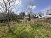 Beaumont lès Valence 26760 Achat / Vente terrain