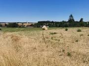 Beaumont Louestault 37360 Programme neuf terrain neuf à...