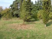 Beaune la Rolande 45340 Programme neuf terrain neuf à vendre