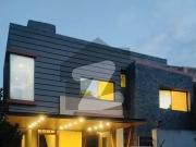 Beautiful 14Bed Triple Story House Available For Rent...