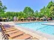 Beautiful 1 Bed 1 Bath For Rent $2435/month Beautiful 1 Bed 1 Bath For Rent $2435/month