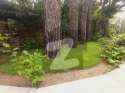 Beautiful 1 Kanal Luxury House, Upper Lower Portion,...