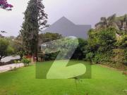 Beautiful 2 Kanal House For Rent In F 6, Islamabad Prime... Beautiful 2 Kanal House For Rent In F 6, Islamabad Prime...